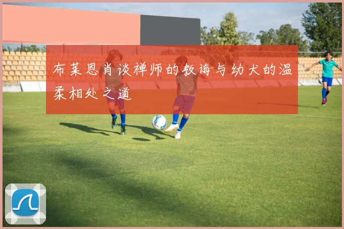 布莱恩肖谈禅师的教诲与幼犬的温柔相处之道