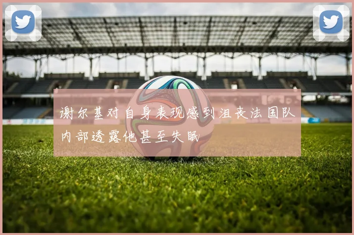 谢尔基对自身表现感到沮丧法国队内部透露他甚至失眠