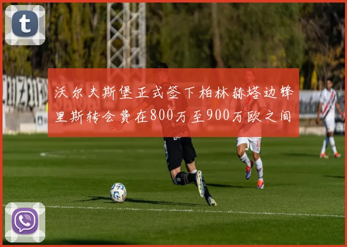 沃尔夫斯堡正式签下柏林赫塔边锋里斯转会费在800万至900万欧之间